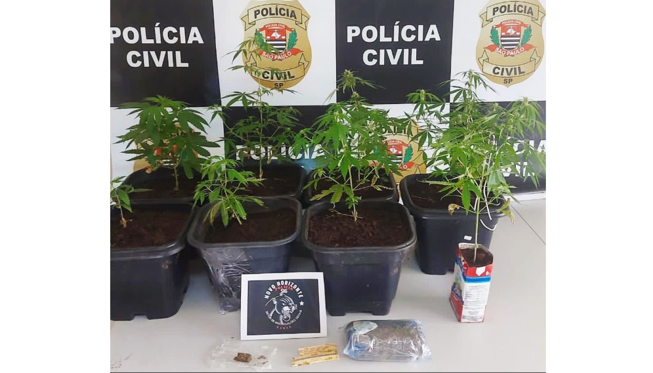 Rapaz Preso Ap S Receber Droga Pelos Correios Regiaonoroeste