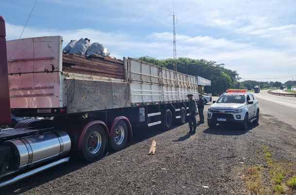 Operação da PM Ambiental aplica mais de R 2 8 milhões em multas