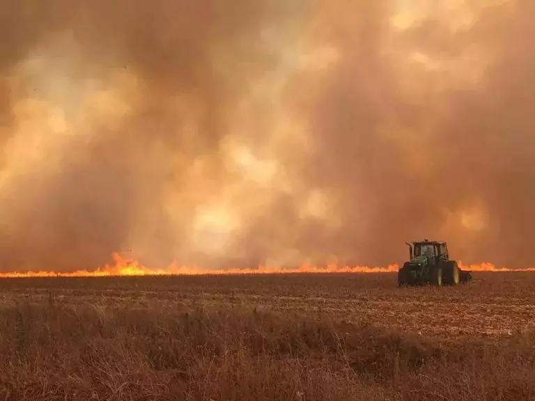 Atencao-produtor-rural-Temperaturas-podem-chegar-a-36oC-no-interior-e-aumenta-risco-de-incendio-na-lavoura