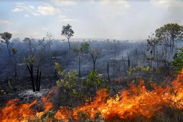 queimada-e-crime-ambiental_16820171544190-1