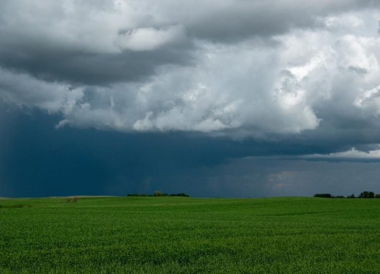 Secretaria-de-Agricultura-estuda-investimentos-em-estacoes-meteorologicas-1