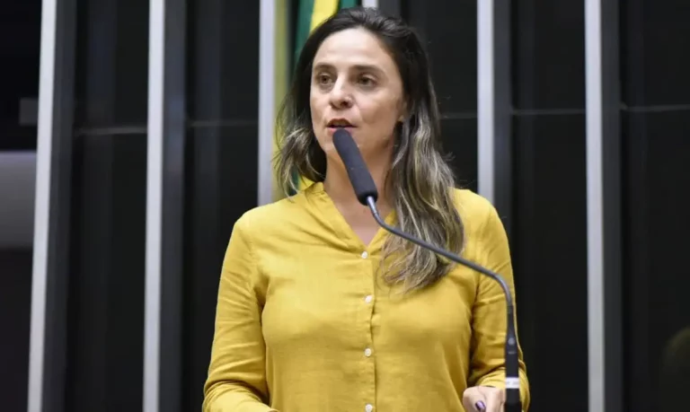 fernanda_melchionna_-_zeca_ribeiro_-_camara_dos_deputados