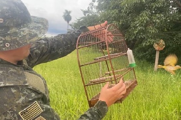 homem-e-multado-em-r-12-mil-por-criacao-irregular-de-aves-em-auriflama-sp-170125_054839